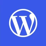 #3 WordPress